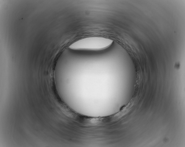 X0000102350184200808010944