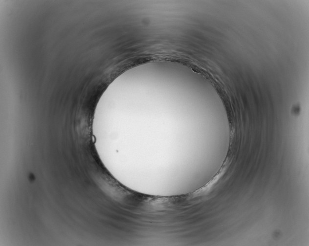 X0000102350186200808010944