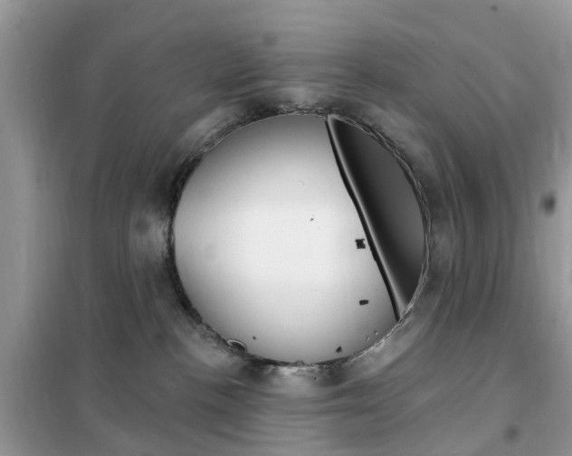 X0000102350188200808010944