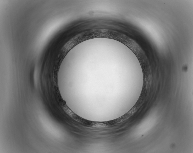 X0000102350189200808010944