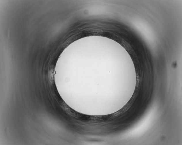 X0000102350190200808010944