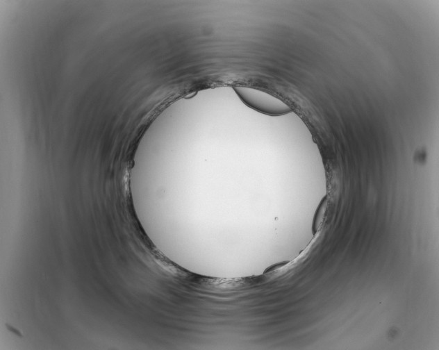 X0000102350191200808010944