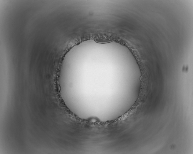 X0000102350192200808010944