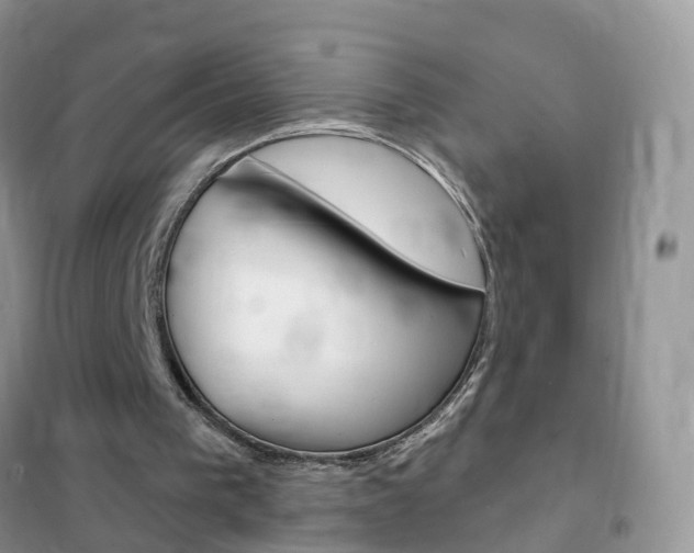 X0000102350193200808010943