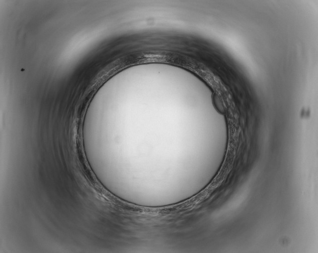 X0000102350194200808010943