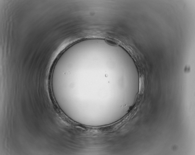 X0000102350195200808010943