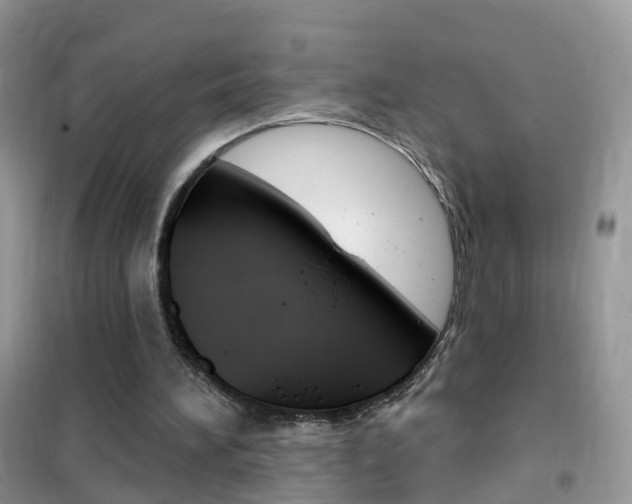 X0000102350196200808010943