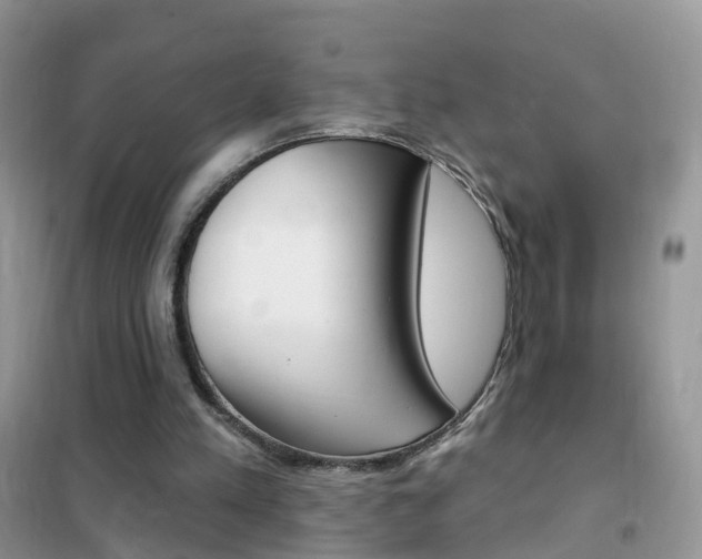 X0000102350197200808010943