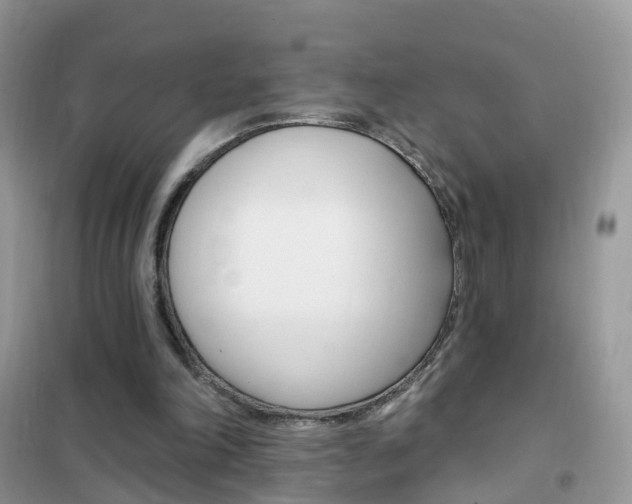 X0000102350198200808010943
