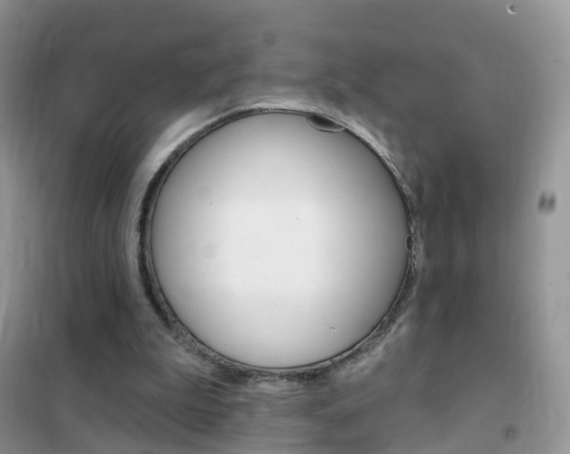 X0000102350199200808010943