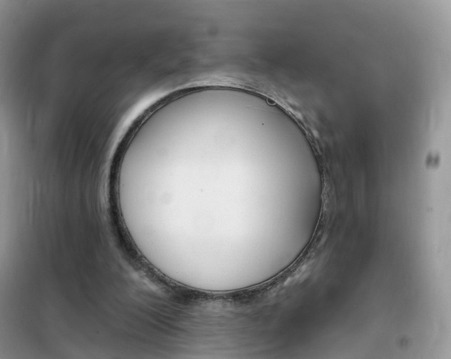 X0000102350200200808010943