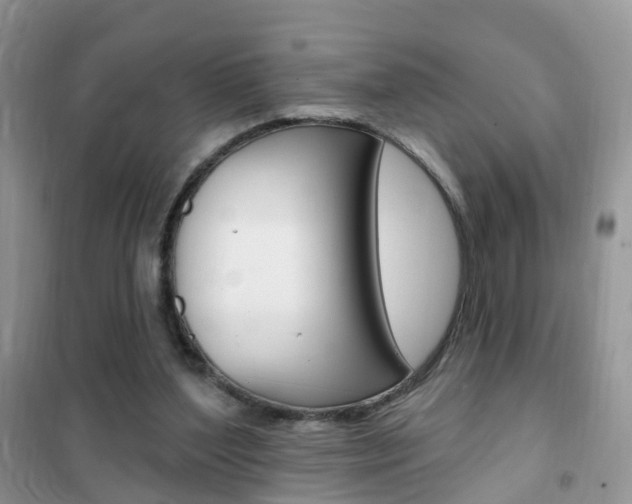 X0000102350204200808010943