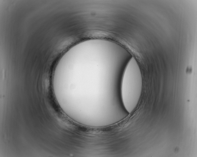 X0000102350206200808010943