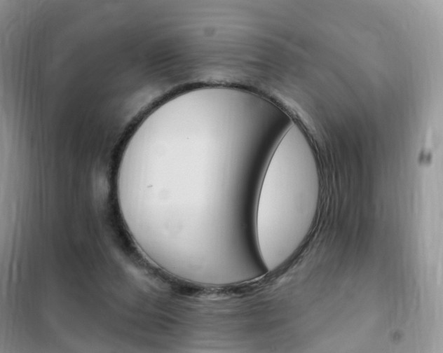 X0000102350208200808010943