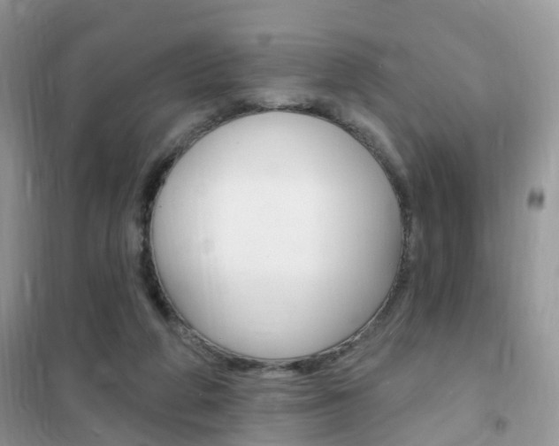 X0000102350210200808010943