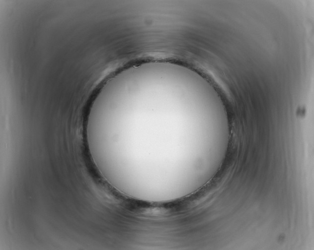 X0000102350212200808010943