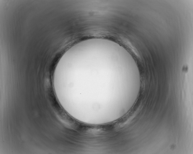 X0000102350213200808010943
