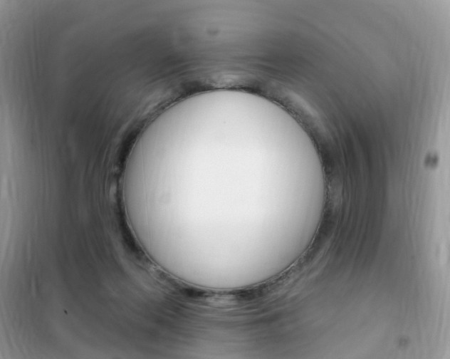 X0000102350214200808010943