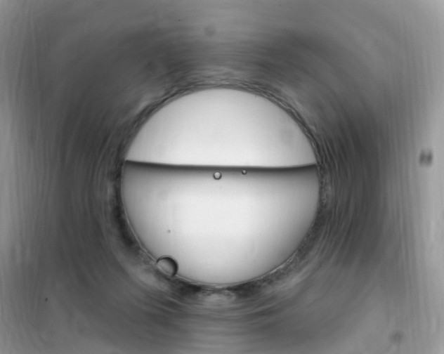 X0000102350215200808010943