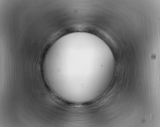X0000102350217200808010943