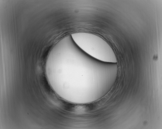 X0000102350218200808010943