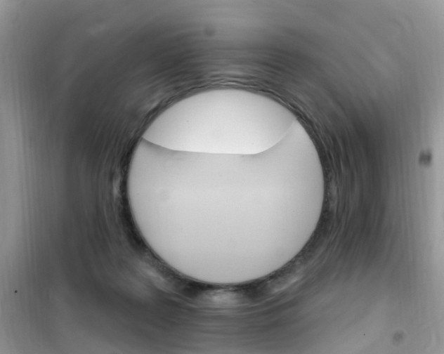 X0000102350219200808010943