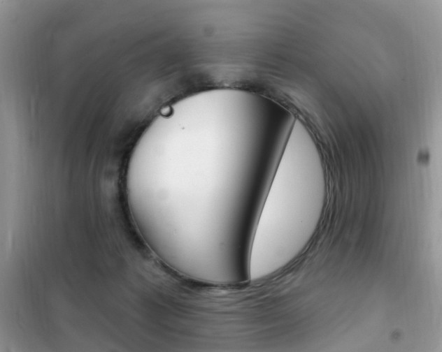 X0000102350221200808010943