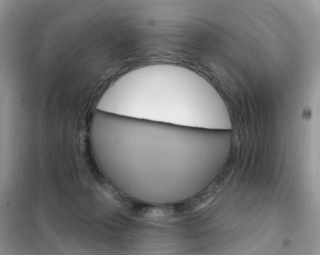 X0000102350223200808010943