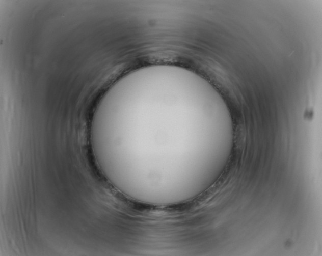 X0000102350224200808010943