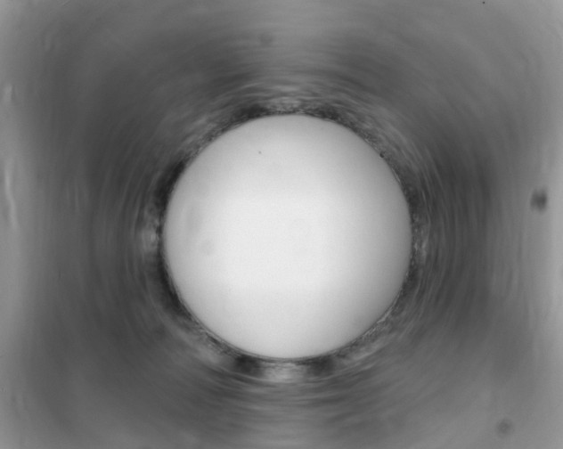 X0000102350226200808010943