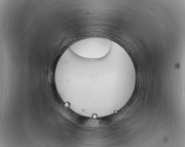 X0000102350227200808010943