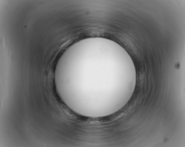 X0000102350228200808010943