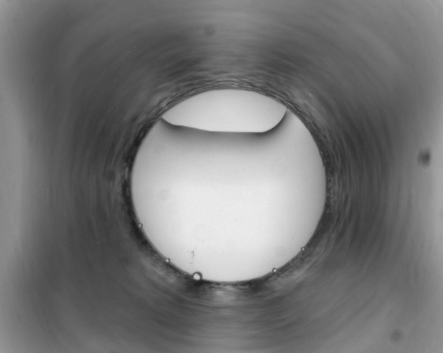 X0000102350229200808010943