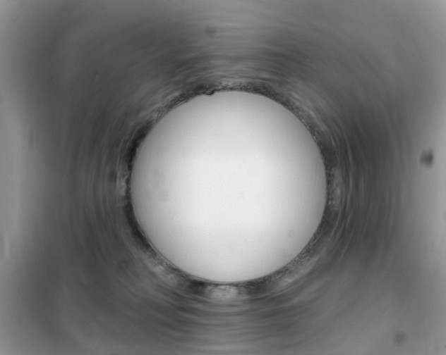 X0000102350230200808010943