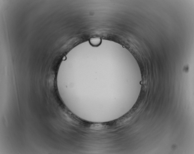X0000102350231200808010943