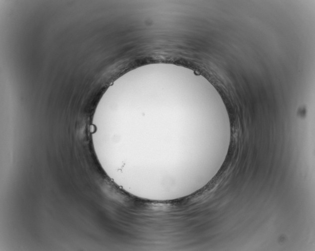 X0000102350233200808010943