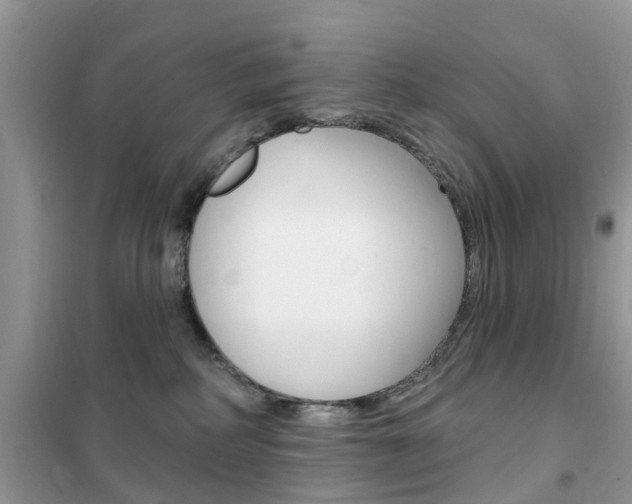 X0000102350234200808010943