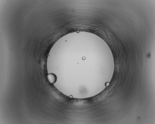 X0000102350235200808010943