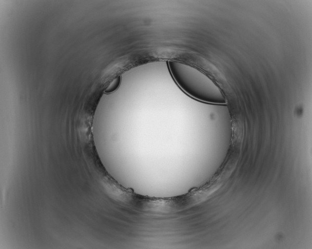 X0000102350237200808010943