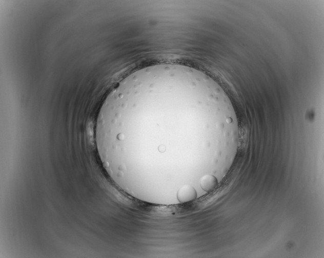 X0000102350238200808010943