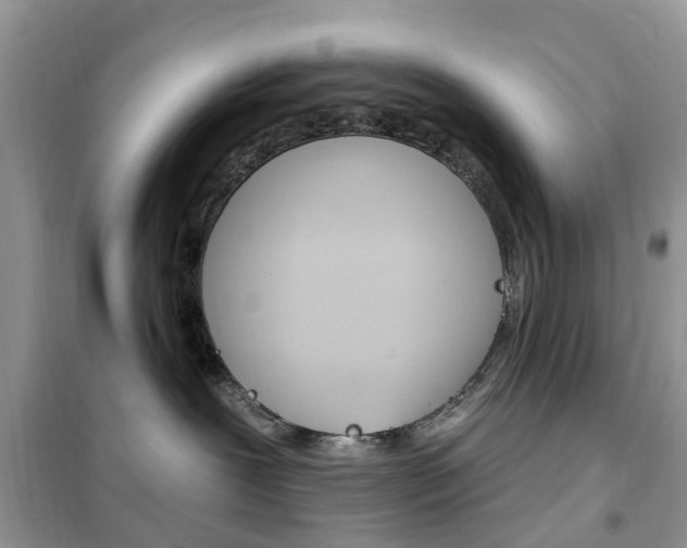 X0000102350239200808010943