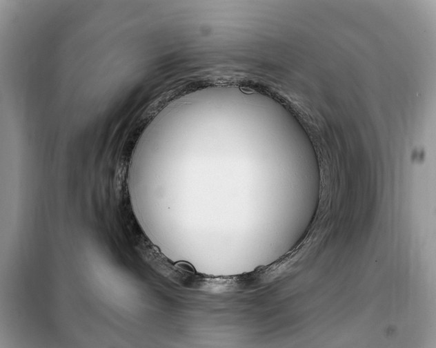 X0000102350240200808010943