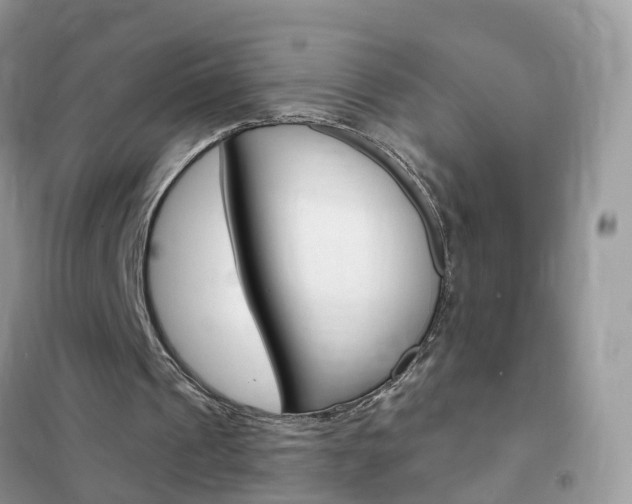 X0000102350241200808010942