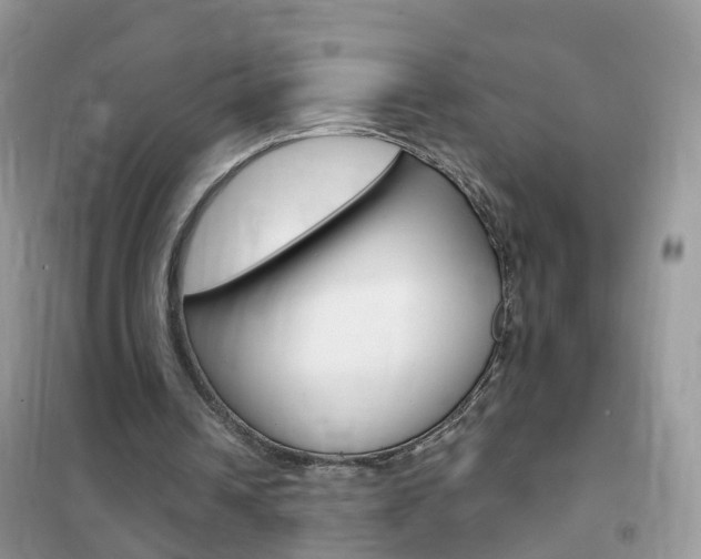 X0000102350242200808010942