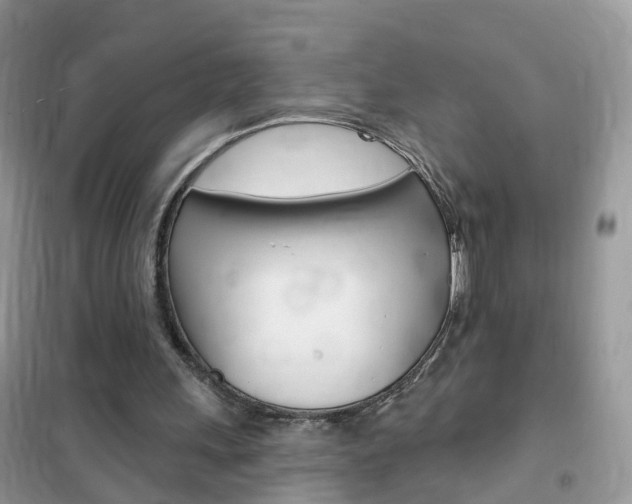 X0000102350243200808010942