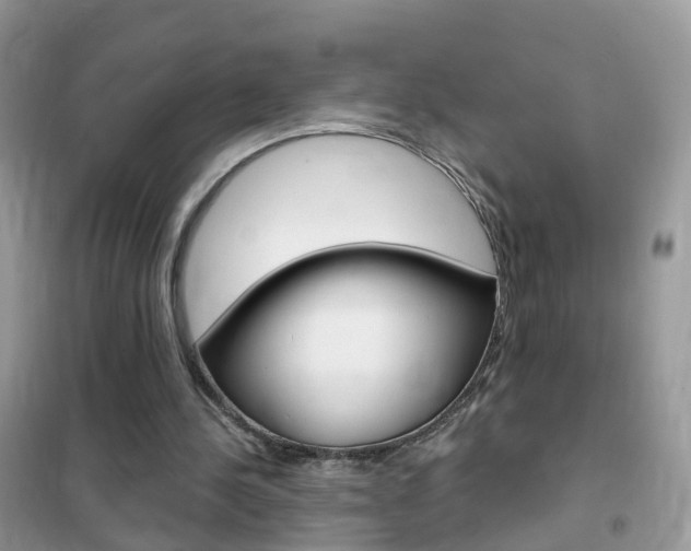 X0000102350244200808010942
