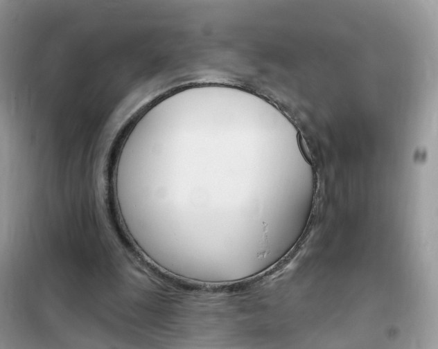 X0000102350247200808010942