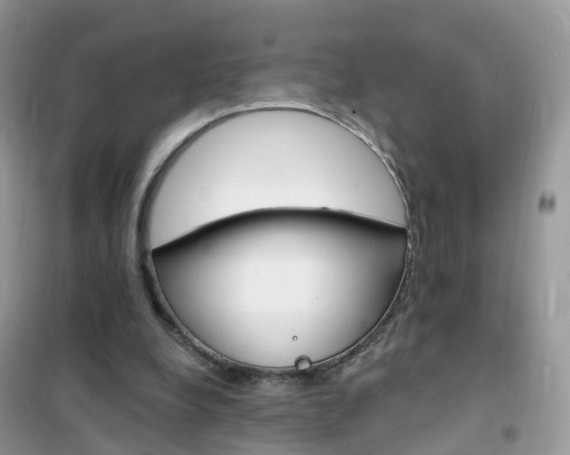 X0000102350248200808010942