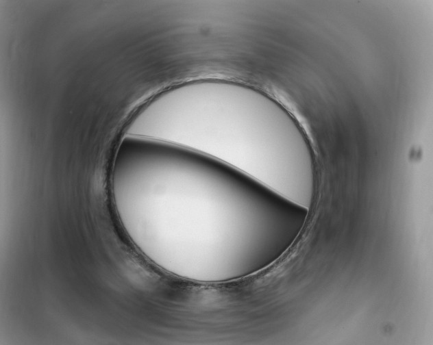 X0000102350249200808010942