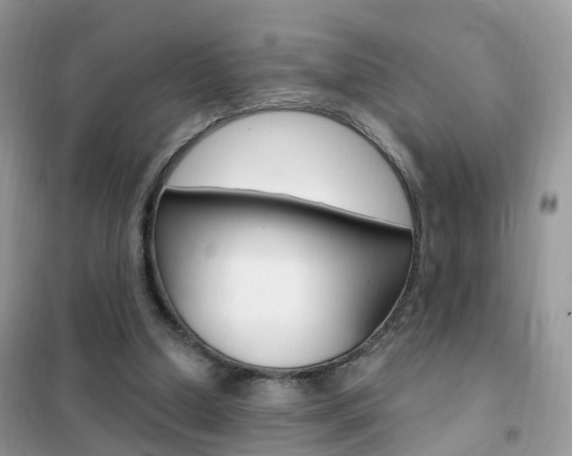 X0000102350250200808010942